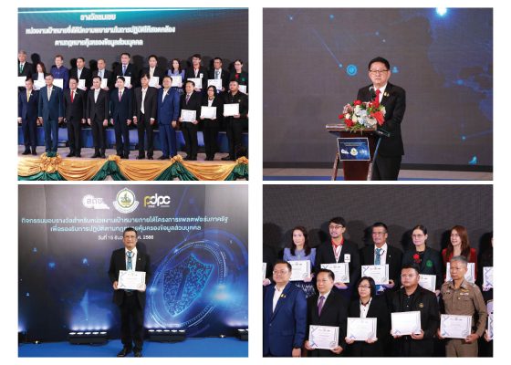 Picforweb 02 Picforweb 02