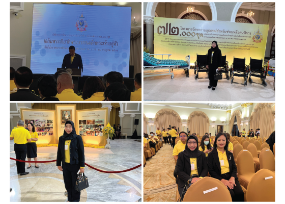 Picforweb 01 Picforweb 01