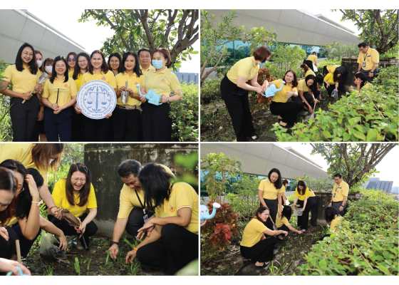 Picforweb 01 Picforweb 01