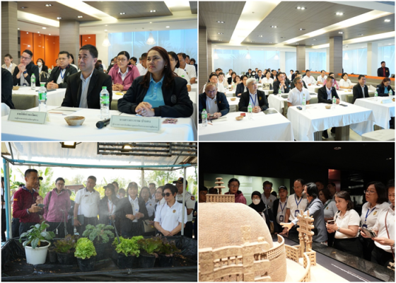 Picforweb7 Picforweb7